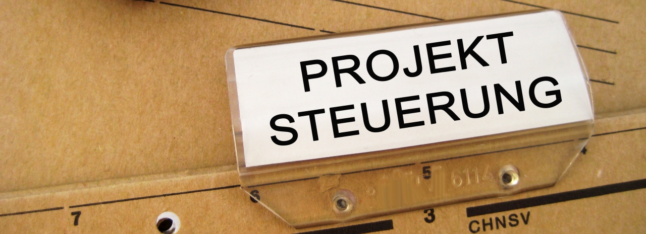 Projektsteuerung